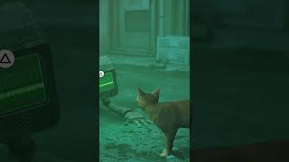 🙀 STRAY MOVIE GAMEPLAY [upl. by Eenitsed]