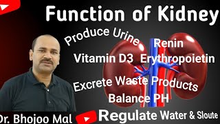 Function of Kidney  Kidney Function  by Dr Bhojoo Mal [upl. by Tlaw811]