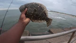 Fishing with Big Al presents Targeting Flounder at the Packery Jetty Surf Oct 10th 2023 Fish On [upl. by Fougere]