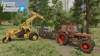 Chargement amp Broyeur de végétaux  Silverrun Forest  FS22 Platinum Edition  Episode 2 [upl. by Irami504]