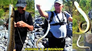 Pêche de languille à la Tâte aux vers de terre Technique Traditionnelle [upl. by Ary545]