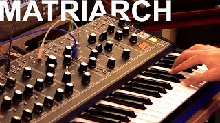 The Moog Matriarch is a very good synthesizer no talking [upl. by Mills]