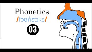 Linguistics Semester 4 Phonetics Active amp Passive Articulators الـدرس الـثـالث [upl. by Towny]