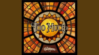 Too Much [upl. by Ayk]