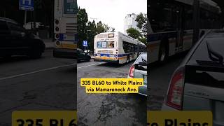 bee line bus 335 BL60  Main amp Church Sts beelinebus BL60 youtubeshorts music rushhour [upl. by Onez]