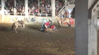 Horse breaks neck in rodeo [upl. by Malissa]