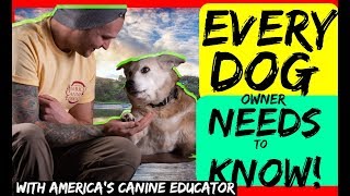 Dog Training Advice every Dog Owner should hear  The truth about training tools like a prong collar [upl. by Fernandes]