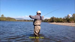 Mongolian Predatory Fishing  2016 [upl. by Naes500]