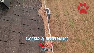 Gutter Cleaning Lanham MD [upl. by Selle]