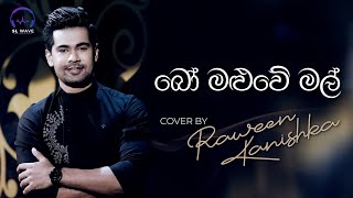 බෝ මළුවේ මල්  Bo Maluwe Mal Cover  Raween Kanishka [upl. by Ridglee]