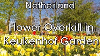 Keukenhof Garden  Virtual Tour Netherland [upl. by Pronty]