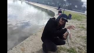 De pesca con don Alberto en Hansen dam [upl. by Siobhan]