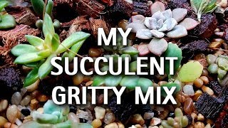 My Succulent Gritty Soil Mix [upl. by Odin341]