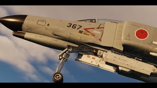 DCS F4 Jester quotAre we ejectingquot Reply Voicelines [upl. by Burdelle]