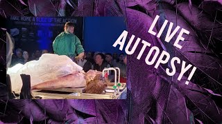 POSTMORTEM LIVE CANT BELIEVE WE TOOK PART IN AN AUTOPSY [upl. by Imeaj760]