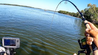 LUCKY To Land This One Grouper Jigging [upl. by Cinimmod515]