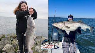 Chesapeake Bay Fishing Report March 29th 2024 [upl. by Ricardama821]