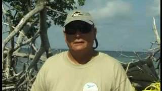 Charlie Leslie  How to fish for tarpon in Southern Belize [upl. by Ehcnalb]