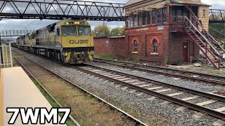 7WM7 Through Albury Station [upl. by Rodablas]