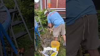 Catio Build Weeks 2 amp 3 catio catlife cats catlover kitten adoptdontshop [upl. by Bernardi642]