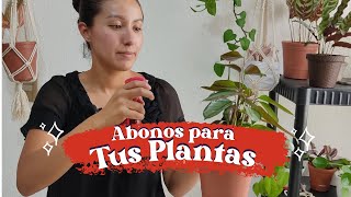 Abonos para tus plantas  ABONOS NATURALES y fáciles de conseguir [upl. by Ayik]