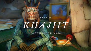 Skyrim  Best Mods for a Khajiit Playthrough [upl. by Ahsinrat]