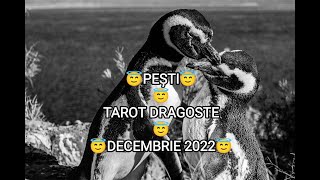 PESTI😇TAROT DRAGOSTE😇DECEMBRIE 2022😇 [upl. by Htebazil865]