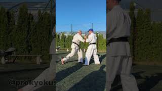 Shihan David Pickthall  The 18th International Kyokushin Karate Summer Camp 2024  Bulgaria [upl. by Merry336]