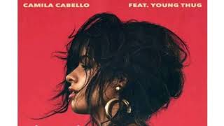 Dario wonders  Havana  remix audio ft Camila cabello [upl. by Annaegroeg432]