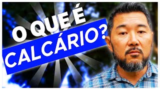 CALCÁRIO O QUE É COMO USÁLO  Entenda tudo sobre Calcário e Como Utilizálo [upl. by Itsyrc375]