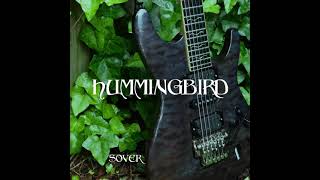 Ambient Guitar Music Sover by Christopher Chandler Hummingbird [upl. by Vola311]