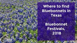 Where to find Bluebonnets in Texas Bluebonnet Festivals 2018 [upl. by Otero]