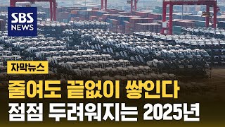 줄여도 끝없이 쌓인다…quot믿었던 너마저quot 위기의 2025년 자막뉴스  SBS [upl. by Huan]