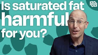 Is Saturated Fat Bad For You [upl. by Luahs]