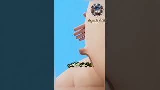 زر البطن الخارجي الفهم والمخاطر؟shotrs [upl. by Renelle429]