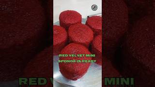 Red velvet mini sponge recipe redvelevet mini sponge recipe cake sorts [upl. by Lance]