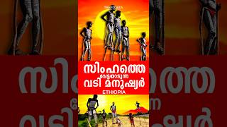 വടിക്കു മുകളിൽ കിടന്നുറങ്ങുന്ന മനുഷർ🔥 shorts viral africa [upl. by Asirem]