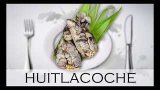 LE HUITLACOCHE  UN MAÏS MALADE  À Votre Table 2 [upl. by Enneirdna]