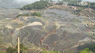 Yunnan  Yuanyang  Hani Rice Terraces Part II [upl. by Amyas]