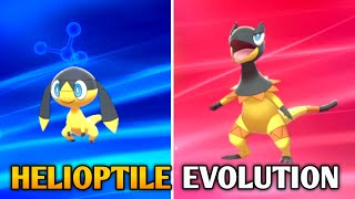 How To Evolve Helioptile Into Heliolisk In Pokemon Sword amp Shield  Galar Pokedex [upl. by Bahr817]