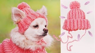 ШАПКА ДЛЯ СОБАКИ  DIY HAT FOR DOG [upl. by Varin]