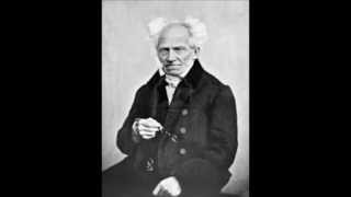 Breve Biografia de Arthur Schopenhauer [upl. by Claudina]