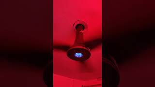 Ceiling fan 😁 n fan shortsvideo fansound viral [upl. by Ehctav]