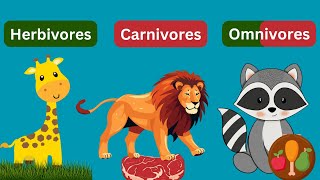 Herbivores Carnivores and Omnivores Animal  Types of Animal [upl. by Rehpotsihc]