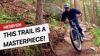 Den Ravinde  TRAIL PREVIEW  Nesbyen Norway 🇳🇴  2023 [upl. by Billi]