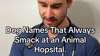 Dog Names That Always Smack at an Animal Hopsital [upl. by Philbo]