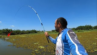 No final da pesca caipira peguei um peixe inusitado foi de arrepiar [upl. by Ailehs]