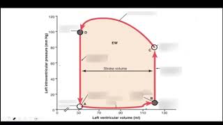 Seminario repaso cardio valvulopatias [upl. by Carolus]