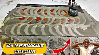 How to Professionally Clean Carpet  Before And After [upl. by Saxen]