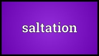 Saltation Meaning [upl. by Johppa]